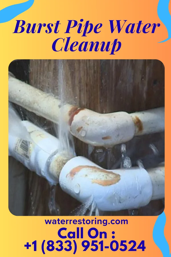Burst Pipe Water Cleanup in Centerville, TN