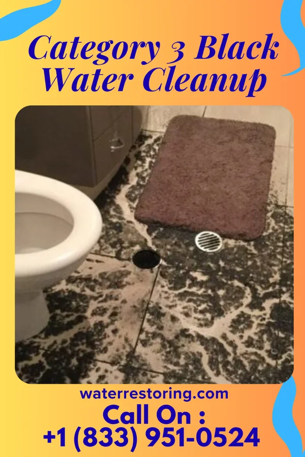 Category 3 Black Water Cleanup in Centerville, TN