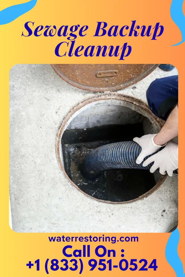 Sewage Backup Cleanup in Centerville, TN