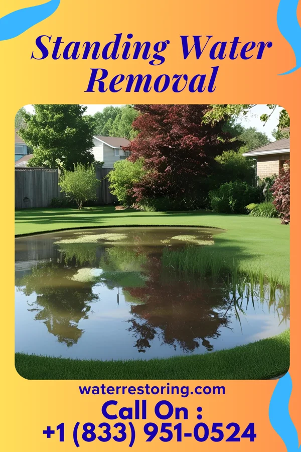 Standing Water Removal in Centerville, TN